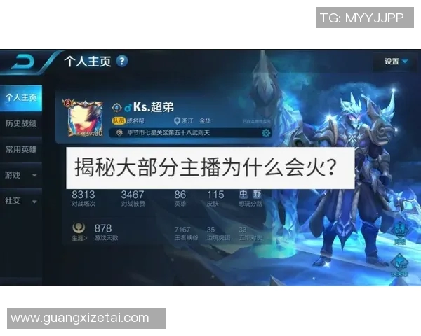 王者荣耀战术解析IG战队防反体系的深度剖析与应用探讨